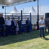 Турнир по боксу в Сафакулево