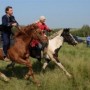 Фестиваль казахского творчества  «Родная земля»